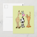 Search for cow drawing postcards Illustration