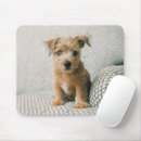 Search for puppy mouse mats Animal