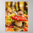 Search for agaric posters Nature