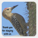Search for bird house stickers Nature