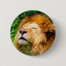 Search for popularity badges Modern