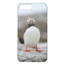 Search for puffin iphone cases Wildlife