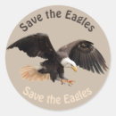 Search for eagle conservation Wildlife