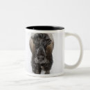 Search for yellowstone bison mugs Nature