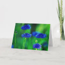 Search for cornflower cards Purple