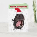 Search for black labrador christmas cards Animal