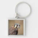 Search for kestrel key rings Animal