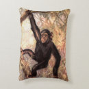 Search for chimpanzees cushions Primates