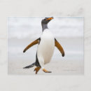 Search for effortless postcards Elegance