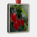 Search for leaf christmas tree decorations Berries