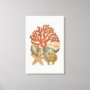 Search for seashells sea shells canvas prints Ocean