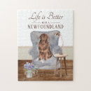 Search for newfoundland dog puzzles Cute