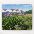 Search for daytime mouse mats Colour image