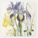 Search for iris garden stickers Botanical