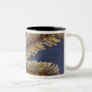 Search for evergreen trees mugs Winter