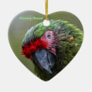 Search for macaw christmas tree decorations Parrot