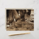 Search for rodeo craft supplies Horse