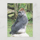 Search for lowland postcards Primate