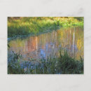 Search for marsh postcards Lake