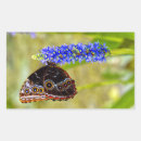 Search for insects rectangle stickers Nature