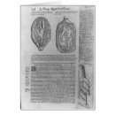 Search for childbirth postcards Pregnancy