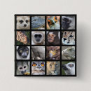 Search for mammals square badges Close up