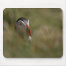 Search for bird puffins mouse mats Sea