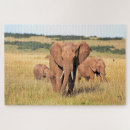 Search for elephant puzzles Animal