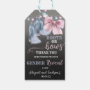 Search for country gender reveal Rodeo
