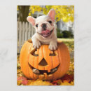 Search for jackolantern invitations Avanti press