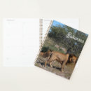 Search for botswana office supplies Africa