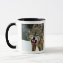 Search for furious mugs Animal
