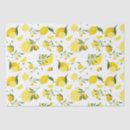 Search for citrus fruit tissue paper Tropical