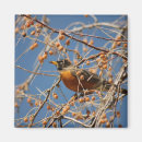Search for wild bird magnets Fowl