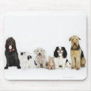 Search for dog portrait mouse mats Domestic animals