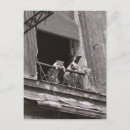 Search for chat postcards Paris