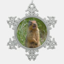 Search for furry animal christmas tree decorations Nature