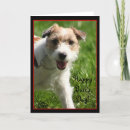 Search for jack russell terrier cards Cute