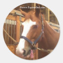 Search for quarter horse stickers Animals