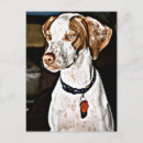 Search for english pointer postcards Canine