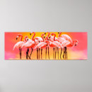 Search for work animal posters Animals