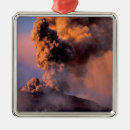 Search for no smoking christmas tree decorations Environment