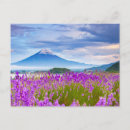 Search for parkland postcards Landscape