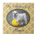 Search for pet photo tiles Sympathy