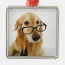 Search for innocence christmas tree decorations Vertical