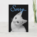 Search for turkish van cards Kitten