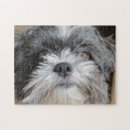 Search for shih tzu dog puzzles Pets