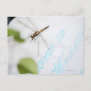 Search for cushion postcards Design