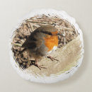 Search for robin bird cushions Animals