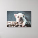Search for french bulldog canvas prints Cute